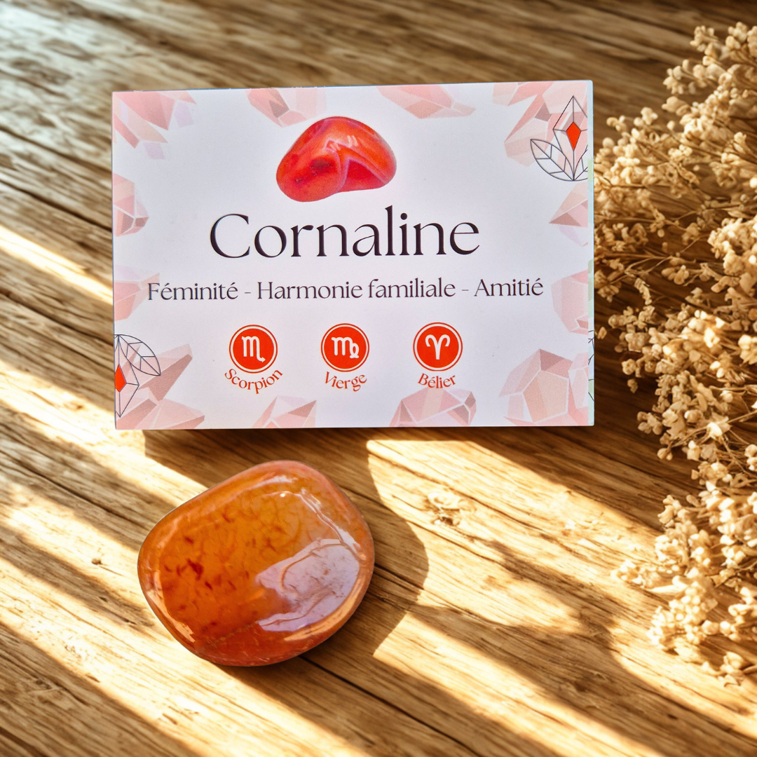 Pierre de cornaline + pochon & carte explicative